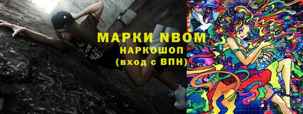 apvp Алексин
