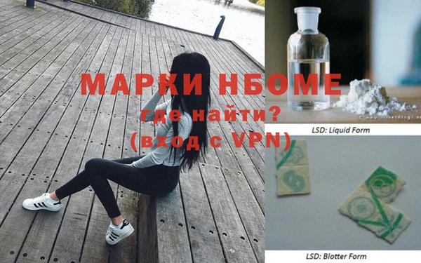 apvp Алексин